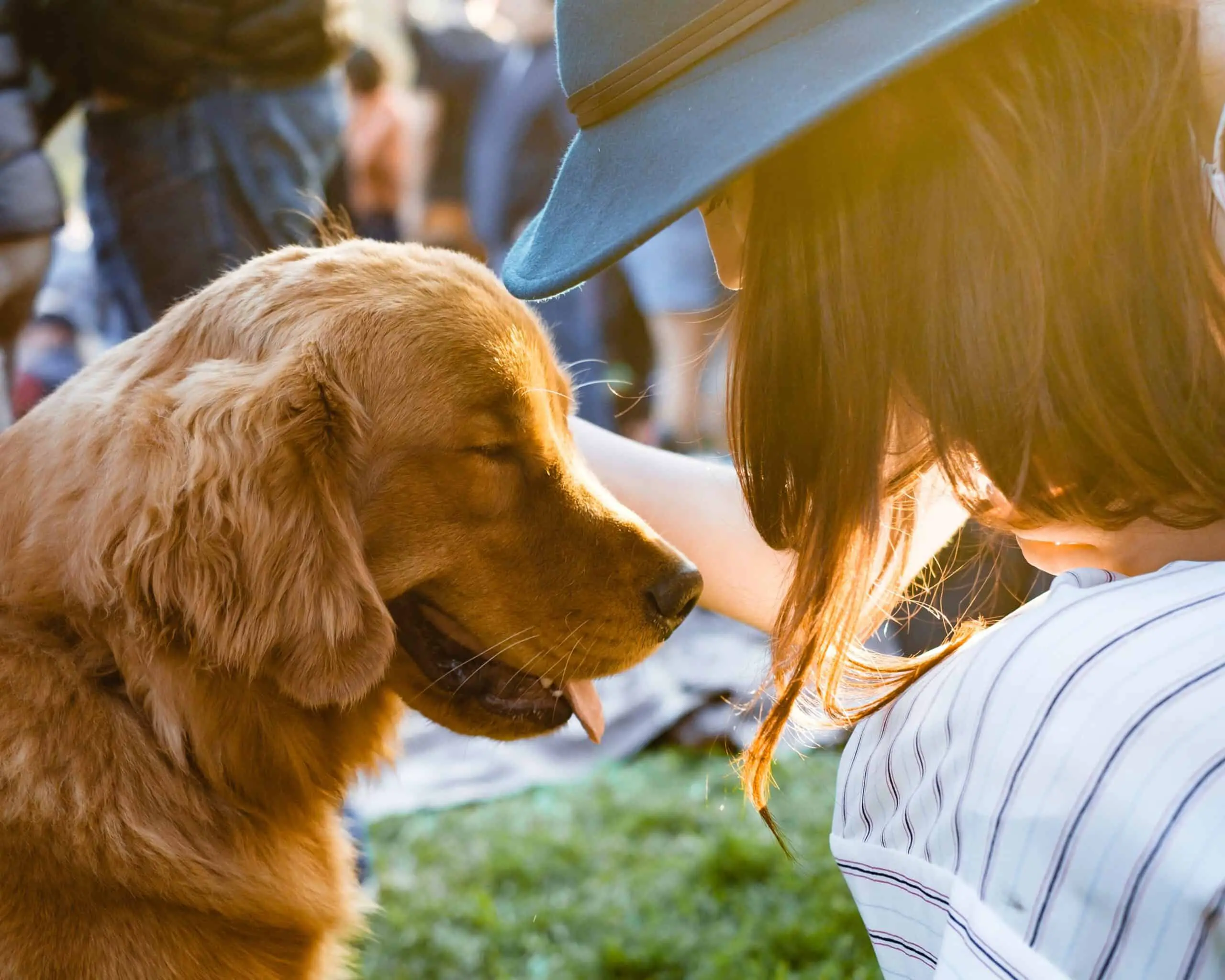 Airbnb’s official policy states that service animals are allowed in all stays, even if the guest doesn’t mention them when renting. Hosts that do not allow pets are expected to accept service animals without question. Still, some hosts can find ways around this policy.